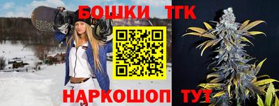 сатива Лесосибирск