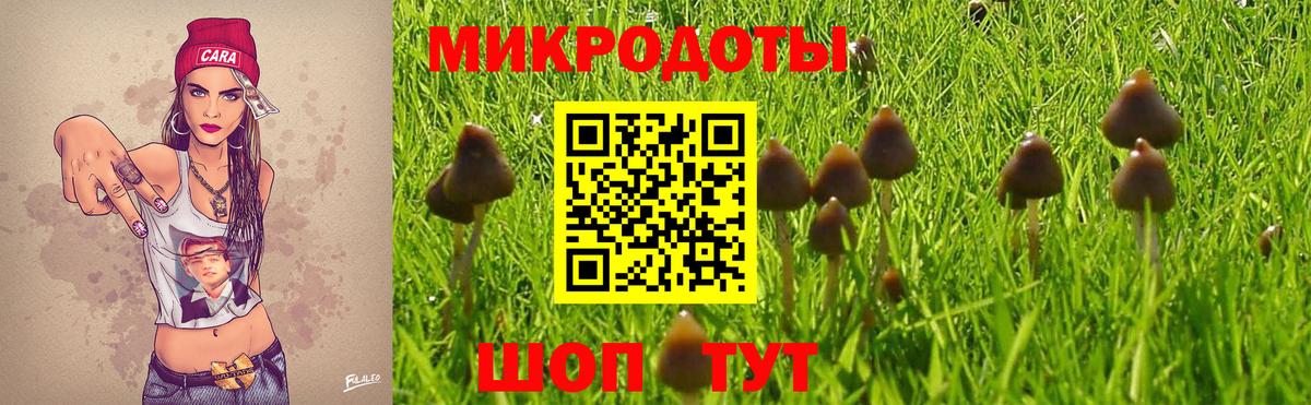 Галлюциногенные грибы GOLDEN TEACHER Дербент