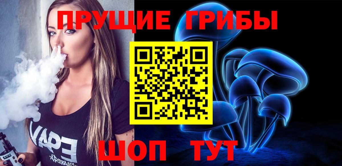 Дербент  Галлюциногенные грибы Psilocybe  Вход с VPN 